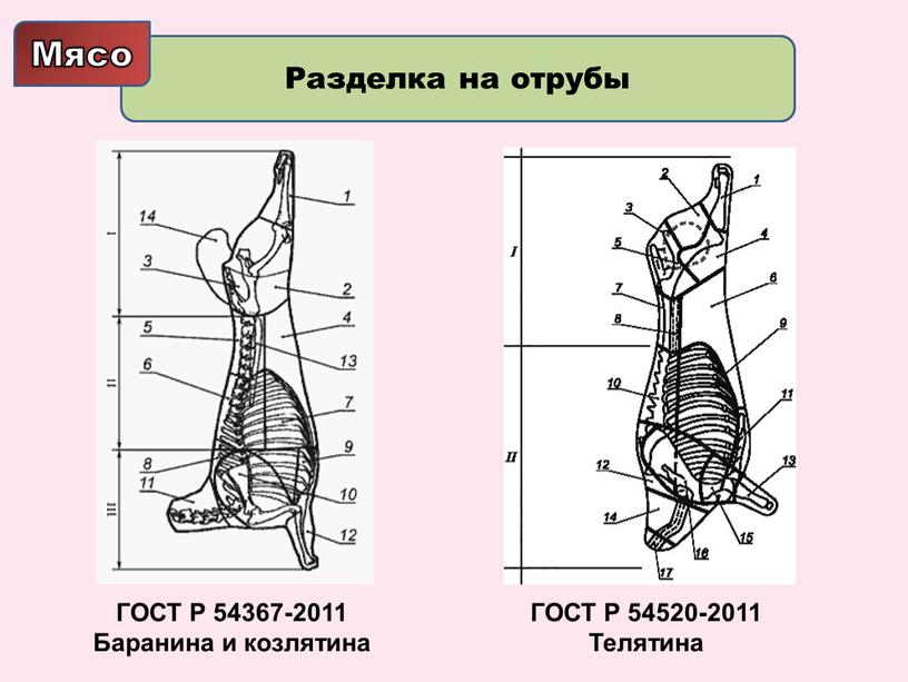 Схема разделки козлятины