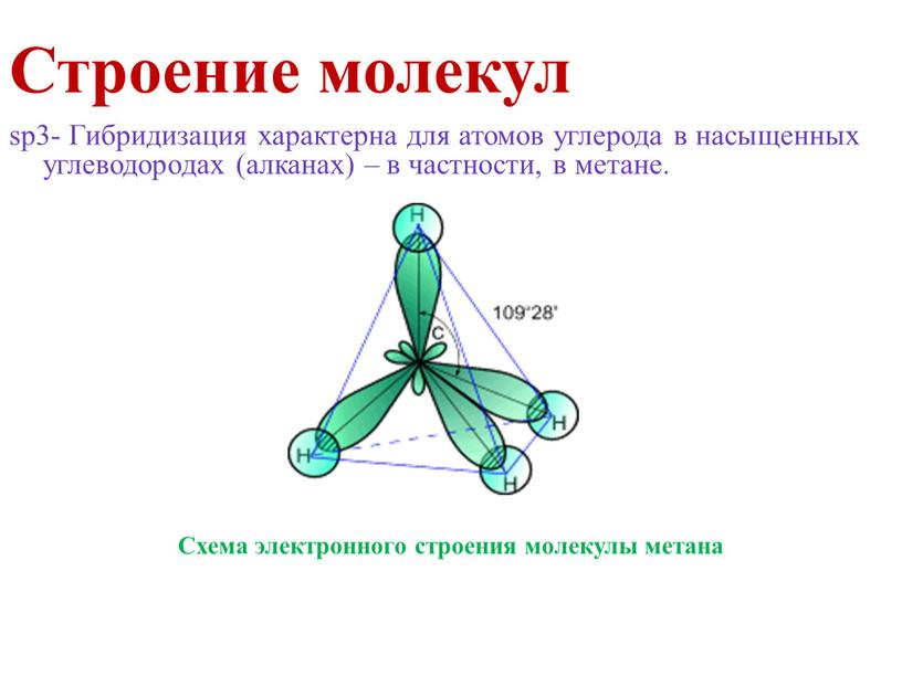 Строение молекул sp3- Гибридизация характерна для атомов углерода в насыщенных углеводородах (алканах) – в частности, в метане