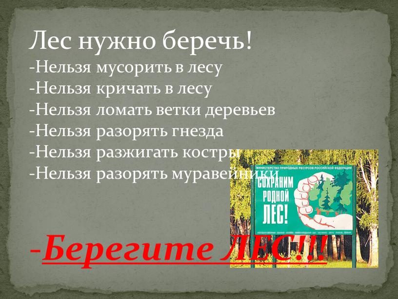 Лес нужно беречь! Нельзя мусорить в лесу