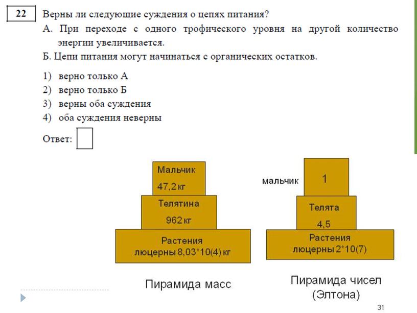 Разбор дэмо-версии по биологии 2019