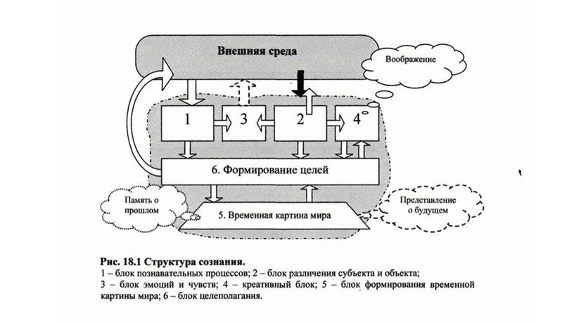 Лекция по теме: "Сознание, его происхождение и сущность"