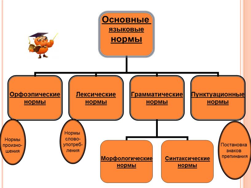 Нормы произно- шения Нормы слово- употреб- ления