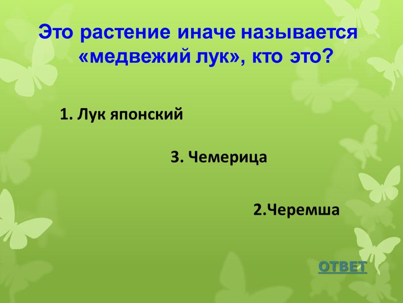 Это растение иначе называется «медвежий лук», кто это?