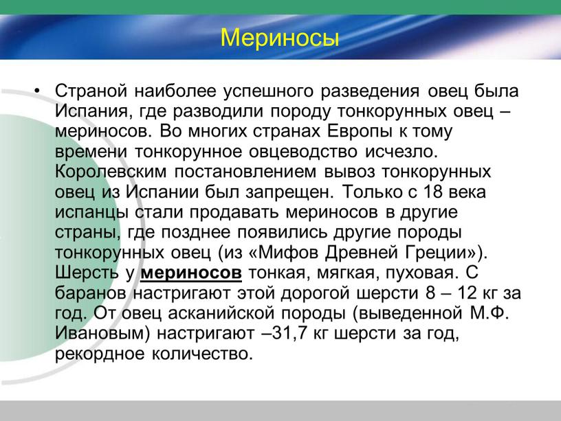 Мериносы Страной наиболее успешного разведения овец была