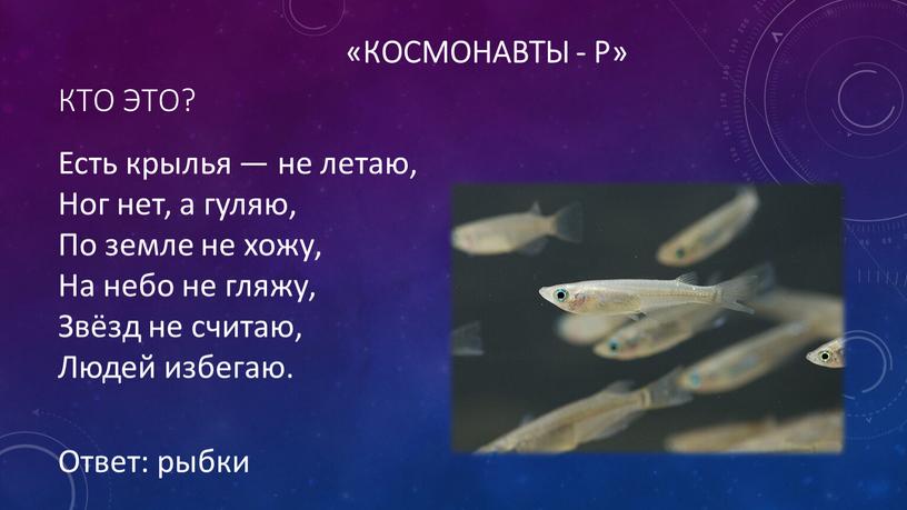 Кто это? Ответ: рыбки Есть крылья — не летаю,