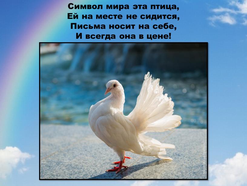 С имвол мира эта птица, Ей на месте не сидится,