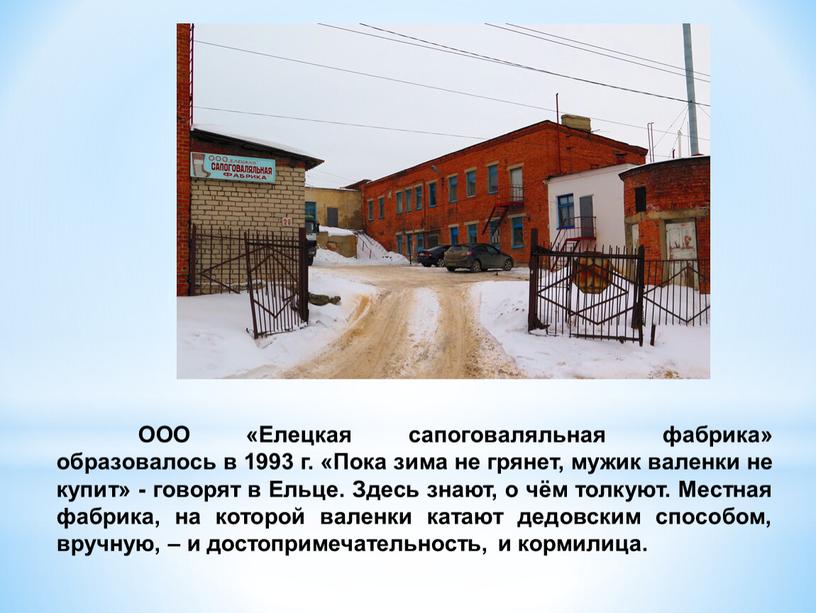 ООО «Елецкая сапоговаляльная фабрика» образовалось в 1993 г