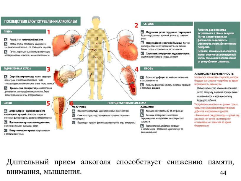 Длительный прием алкоголя способствует снижению памяти, внимания, мышления