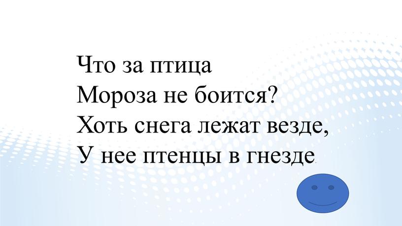 Что за птица Мороза не боится?