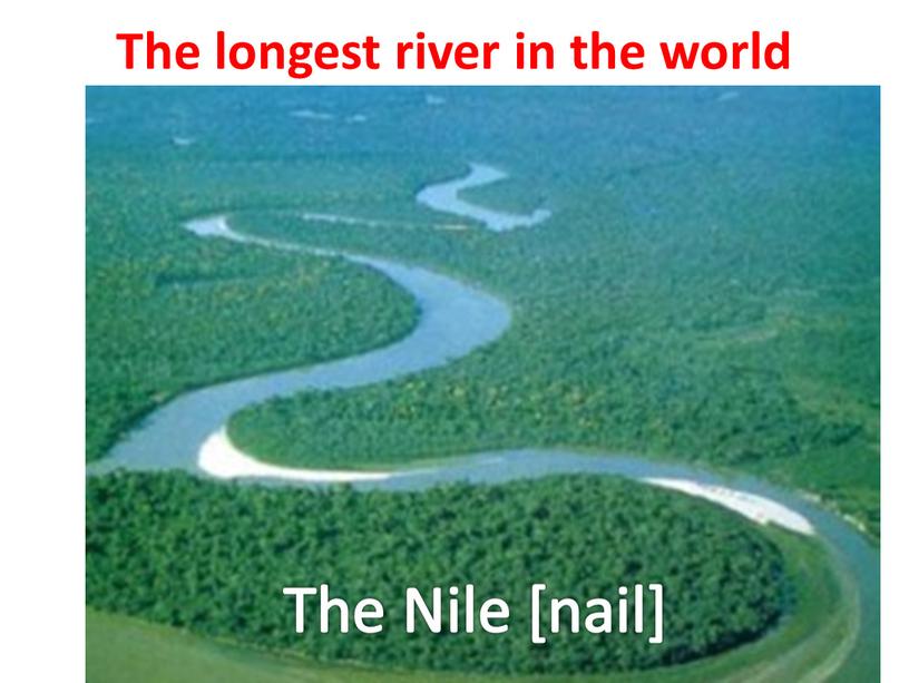 The longest river in the world