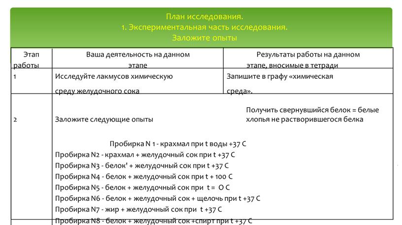 Этап Ваша деятельность на данном