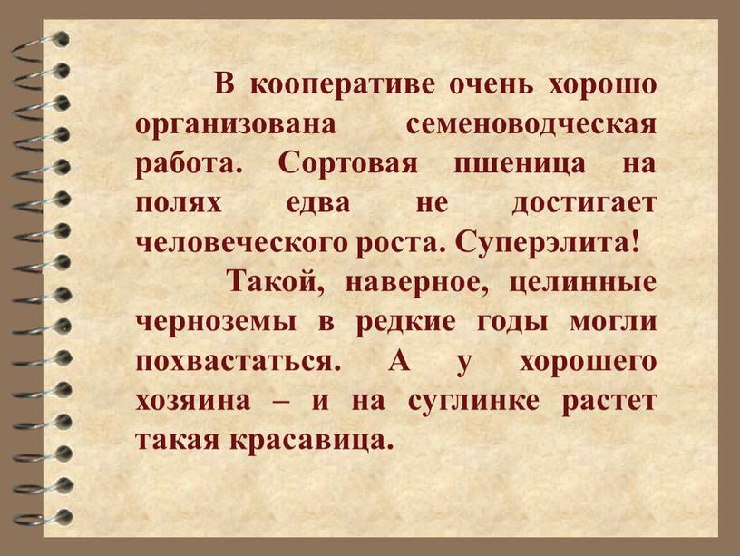 В кооперативе очень хорошо организована семеноводческая работа