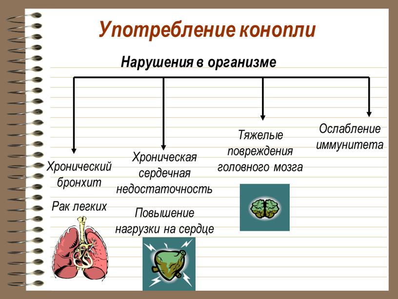 Употребление конопли Хронический бронхит