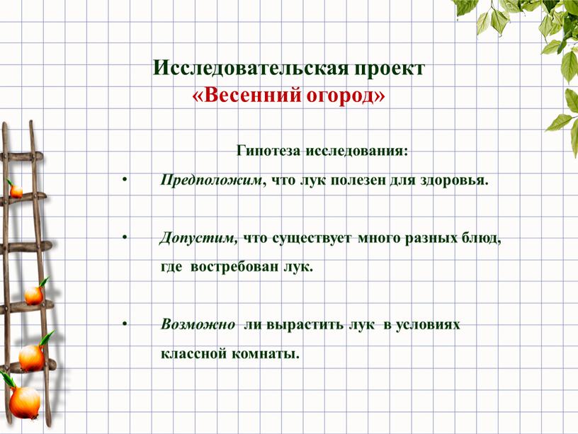 Гипотеза исследования: Предположим , что лук полезен для здоровья