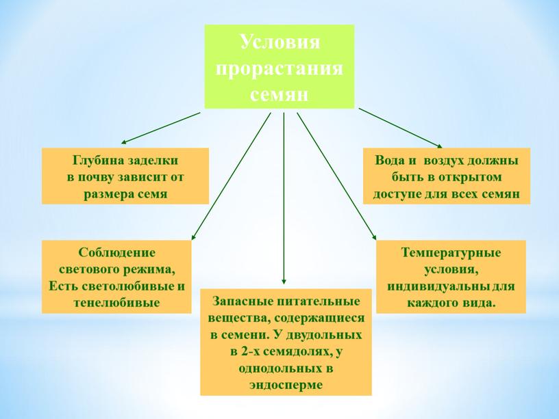 Условия прорастания семян Запасные питательные вещества, содержащиеся в семени