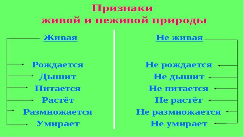 Презентация к проведению внеурочной деятельности "Ты часть природы"