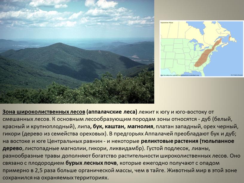 Зона широколиственных лесов (аппалачские леса) лежит к югу и юго-востоку от смешанных лесов