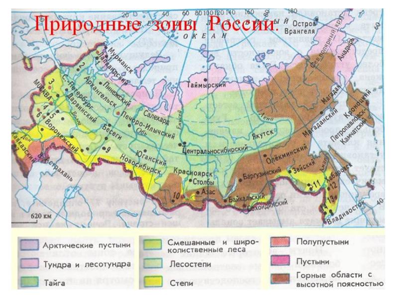 Презентация к уроку окружающего мира в 4 классе "Тундра"