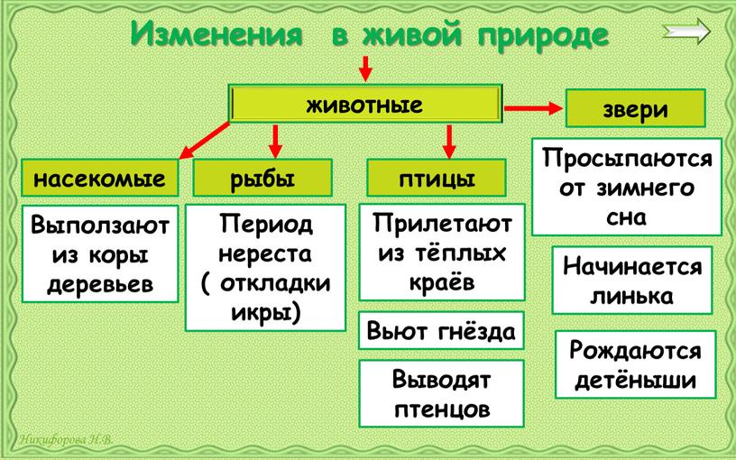 Изменения в живой природе животные насекомые рыбы птицы звери