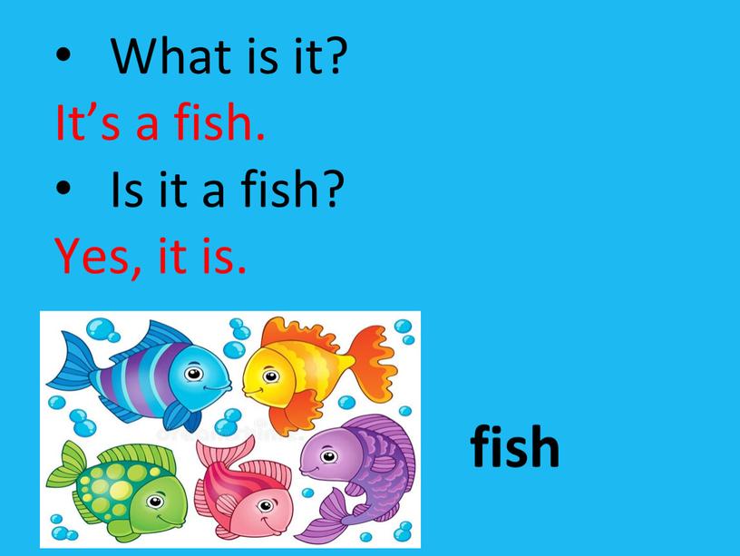 What is it? It’s a fish. Is it a fish?