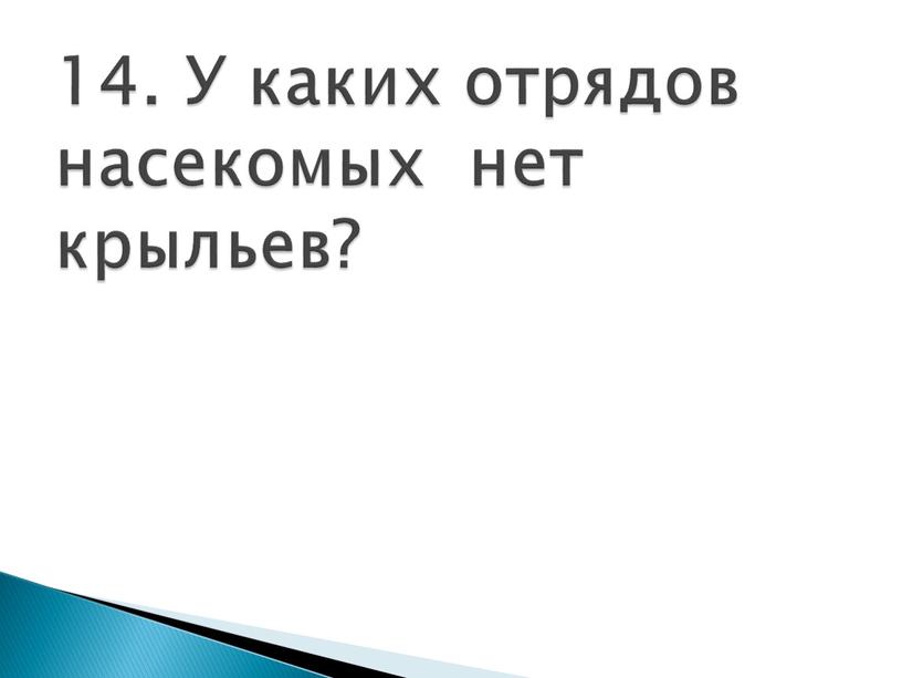 У каких отрядов насекомых нет крыльев?