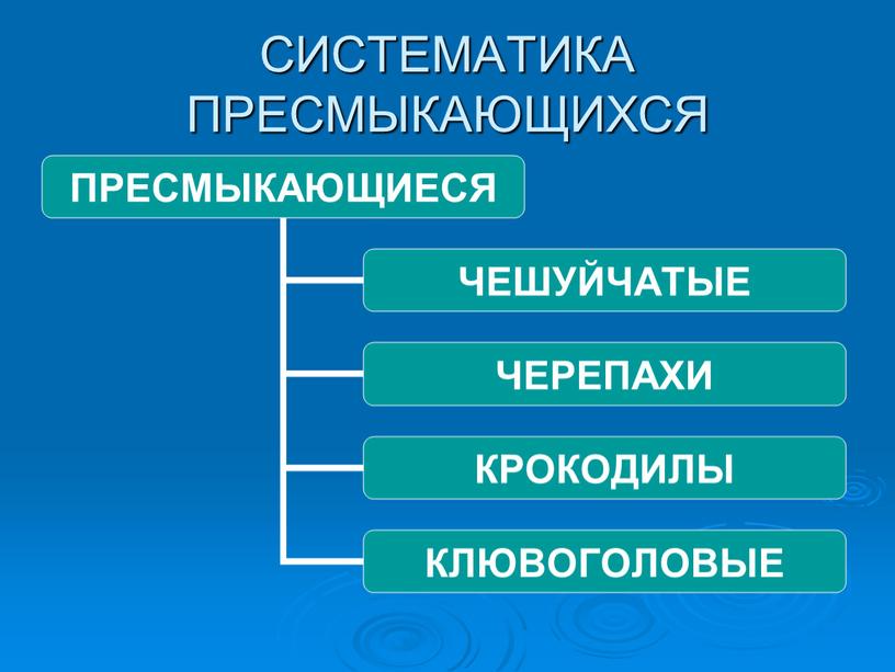 СИСТЕМАТИКА ПРЕСМЫКАЮЩИХСЯ