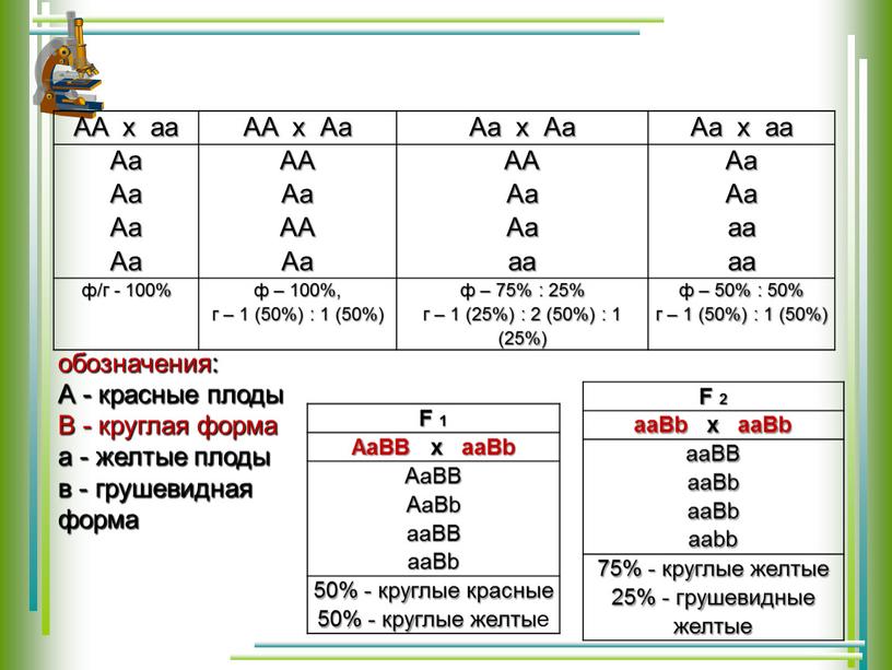 АА х аа АА х Аа Аа х Аа Аа х аа