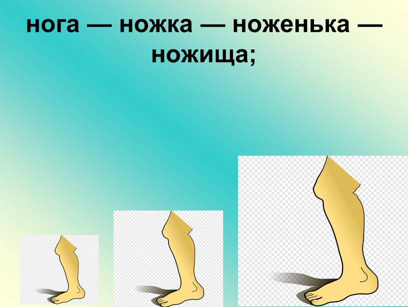 нога — ножка — ноженька — ножища;