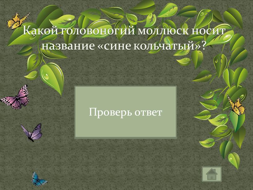 Какой головоногий моллюск носит название «сине кольчатый»?