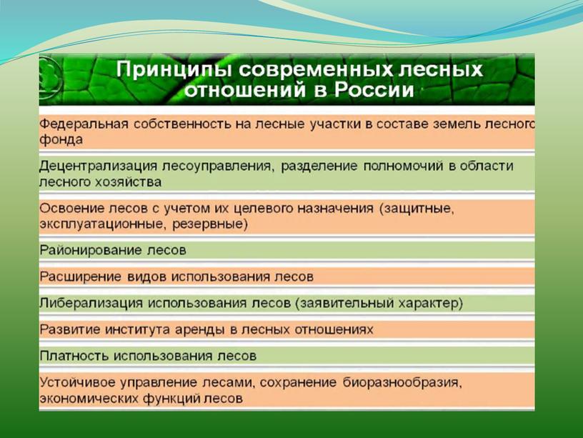 История формирования государственной лесной политики. Лесоуправления в России.