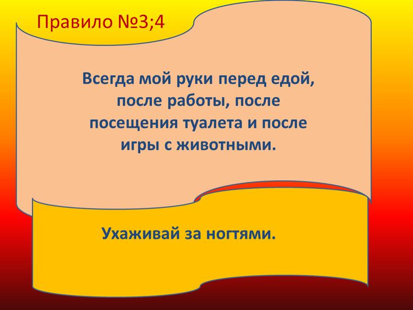 Правило №3;4 Всегда мой руки перед едой, после работы, после посещения туалета и после игры с животными