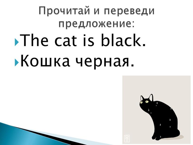 The cat is black. Кошка черная