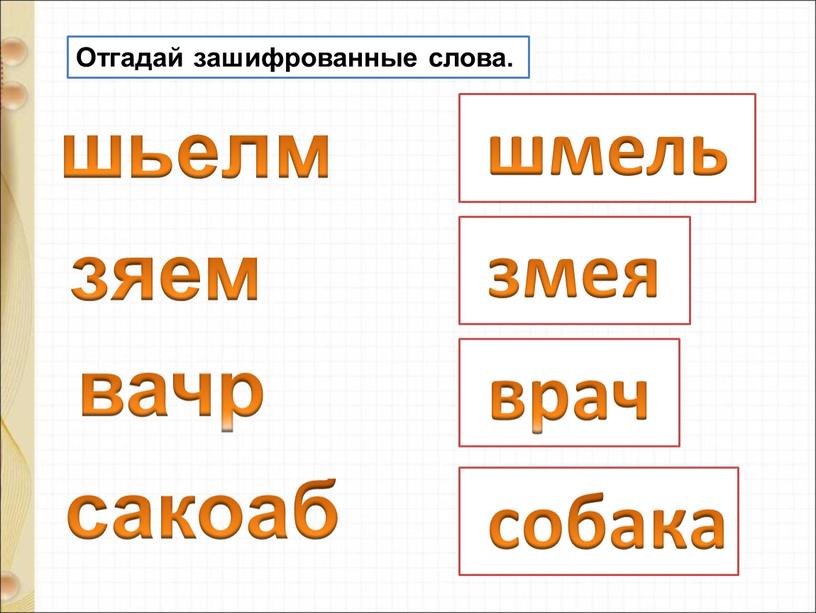 Отгадай зашифрованные слова. шьелм зяем вачр сакоаб шмель змея врач собака