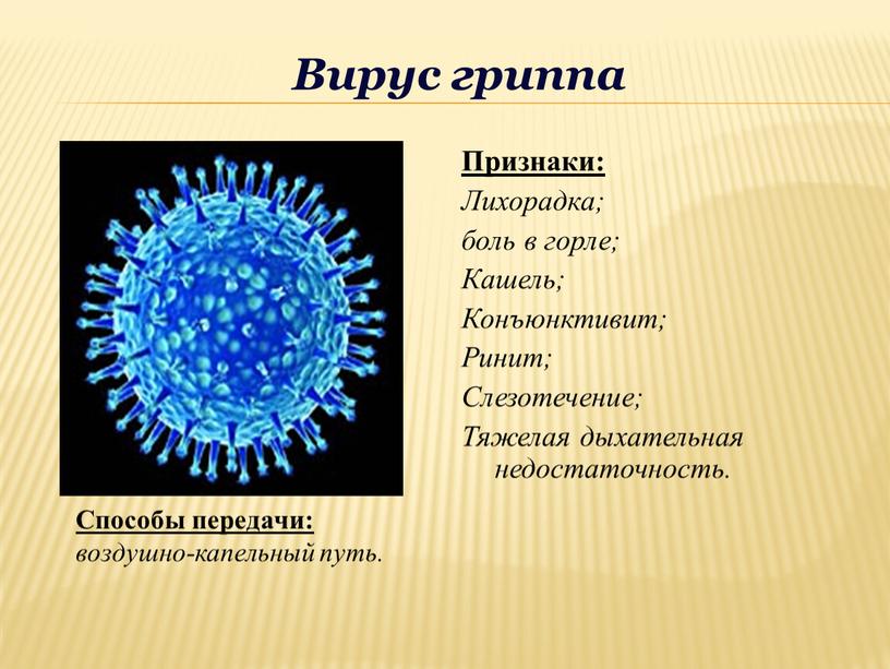 Вирус гриппа Признаки: Лихорадка; боль в горле;