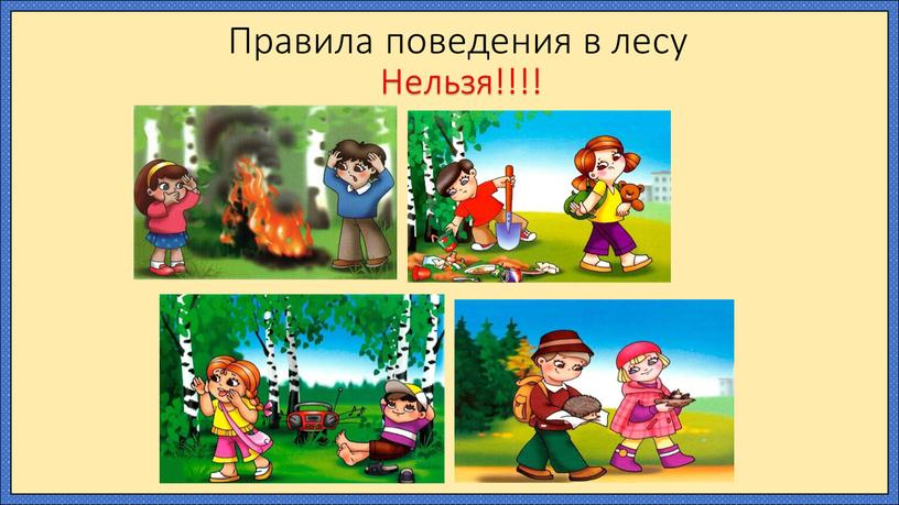 Правила поведения в лесу Нельзя!!!!