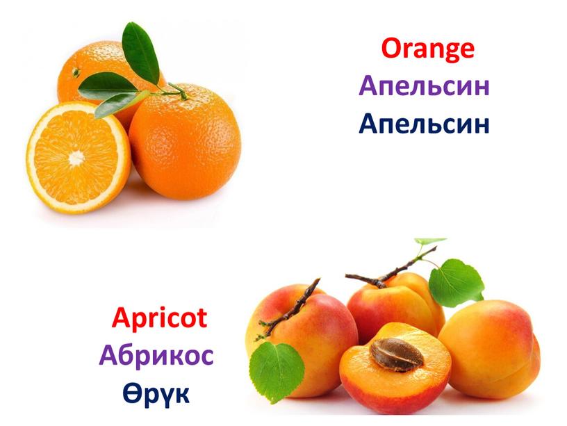 Apricot Абрикос Өрүк Orange