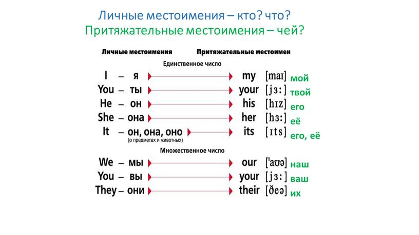 Личные местоимения – кто? что?