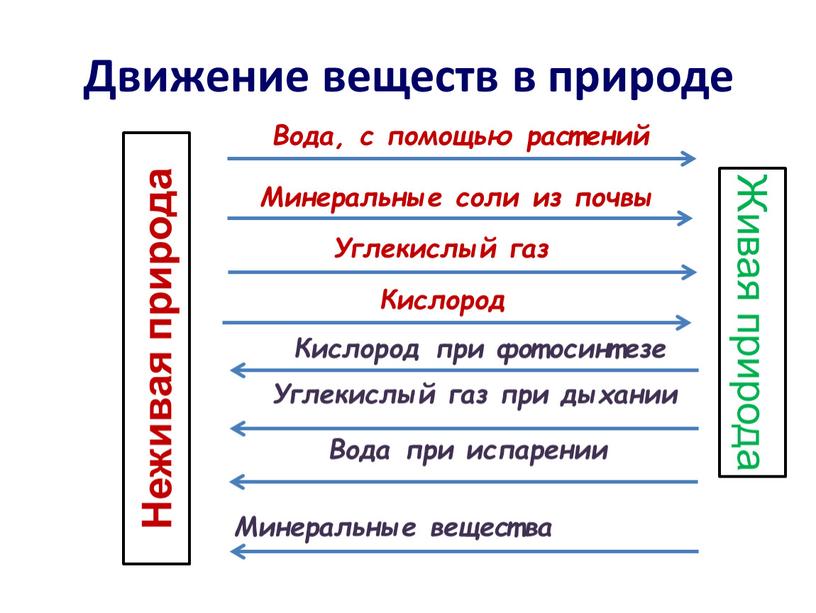 Движение веществ в природе Неживая природа