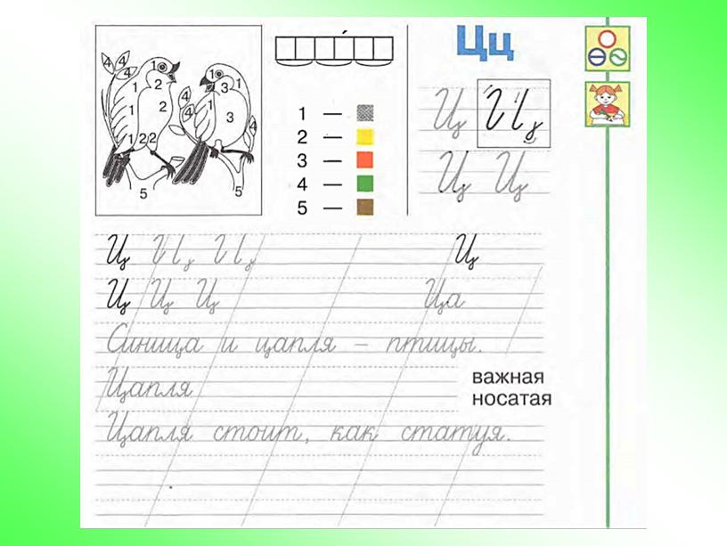 Презентация к уроку обучения грамоте "Звук [ц]. Буквы Ц,ц" , УМК "Перспектива"