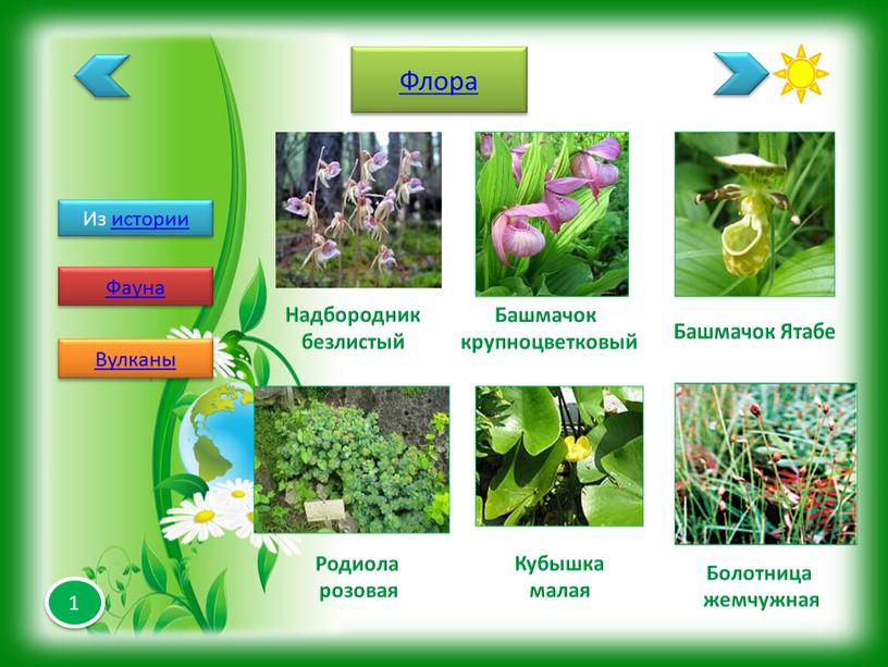 Из истории Флора Фауна Вулканы