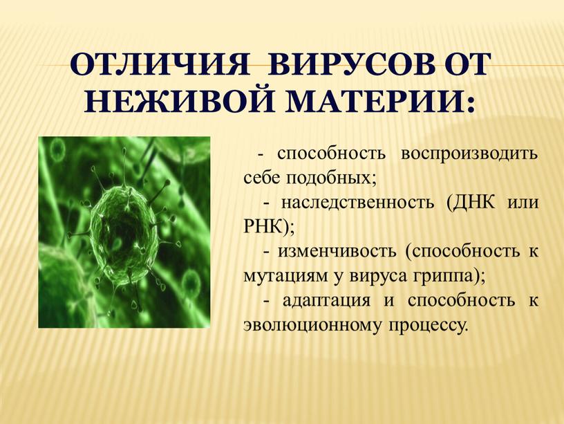 Отличия вирусов от неживой материи: - способность воспроизводить себе подобных; - наследственность (ДНК или