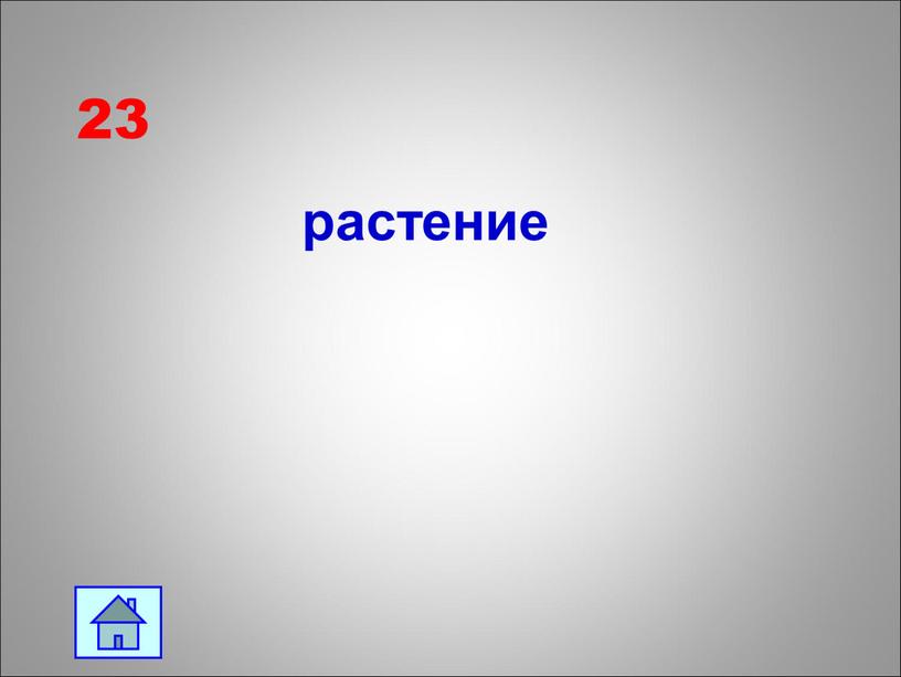 23 растение