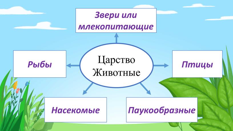 Звери или млекопитающие Птицы Рыбы