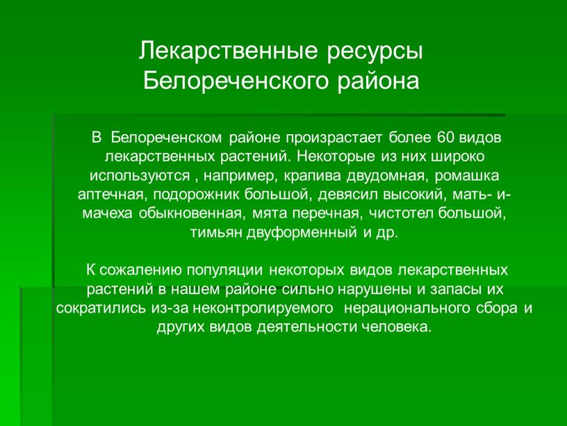 Лекарственные ресурсы Белореченского района