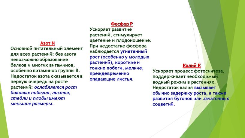 Азот N Основной питательный элемент для всех растений: без азота невозможно образование белков и многих витаминов, особенно витаминов группы