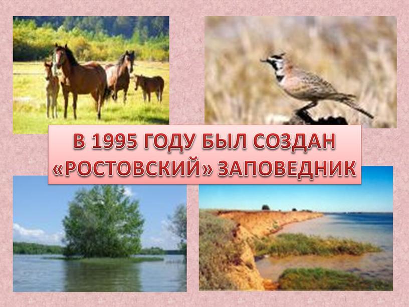 В 1995 ГОДУ БЫЛ СОЗДАН «РОСТОВСКИЙ»