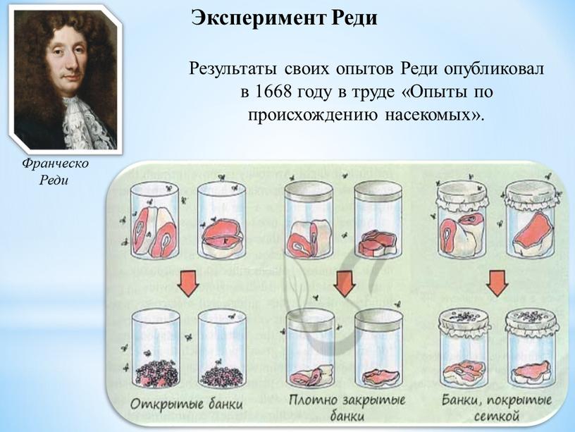 Эксперимент Реди Франческо