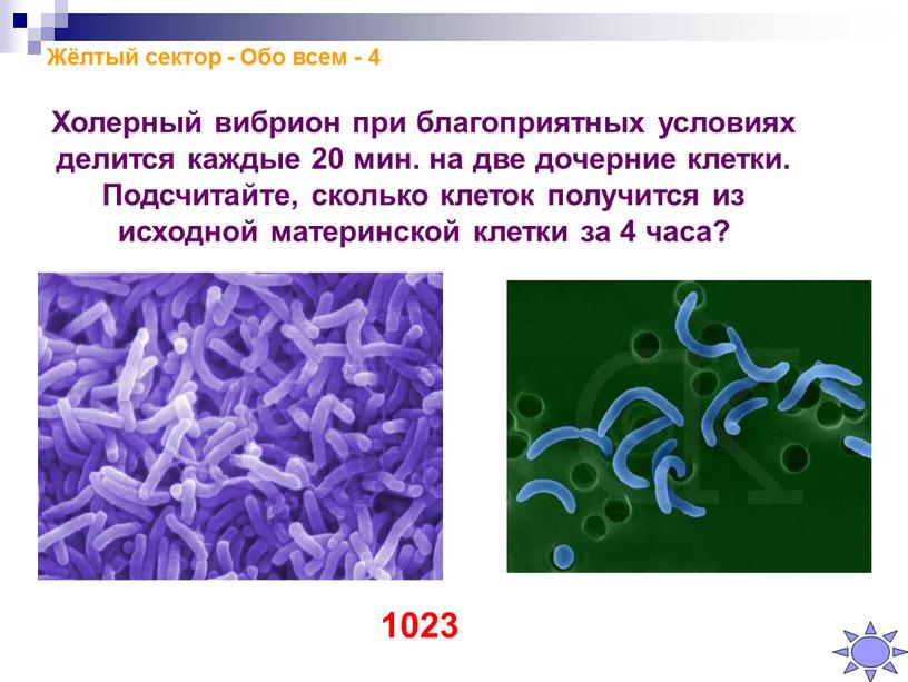 Жёлтый сектор - Обо всем - 4