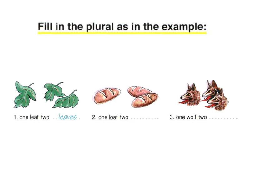 5 Plurals. 6 class