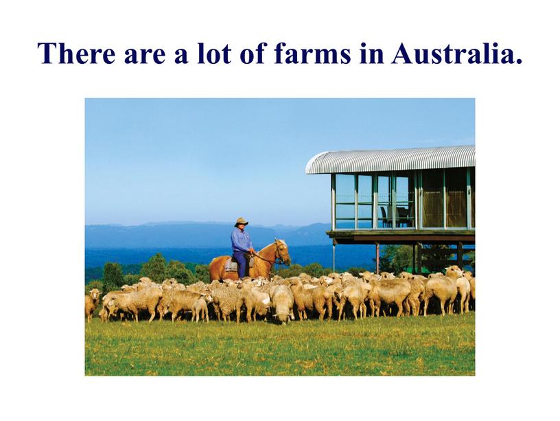 There are a lot of farms in Australia